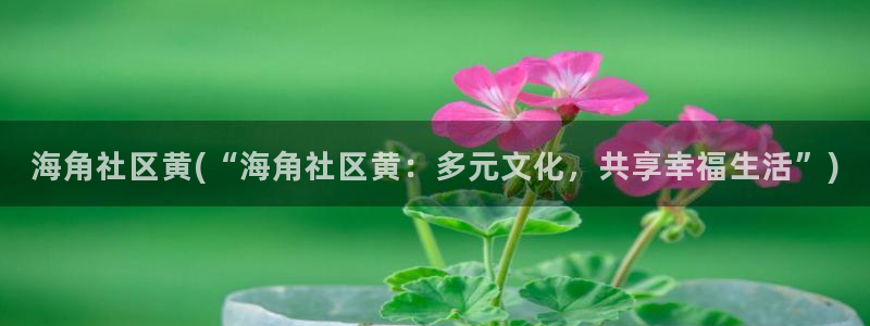 海角社区hj0c：海角社区黄(“海角社区黄：多元文化，共享幸福生活”)