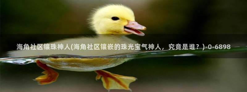 爱情岛海角社区