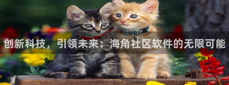 海角社区发帖：创新科技，引领未来：海角社区软件的无限可能